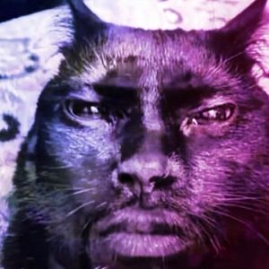 Meet your Posher, Parker